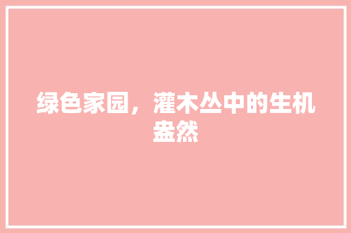 绿色家园，灌木丛中的生机盎然