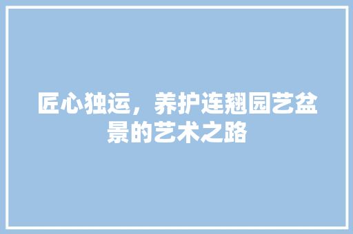 匠心独运，养护连翘园艺盆景的艺术之路