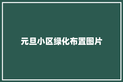 元旦小区绿化布置图片