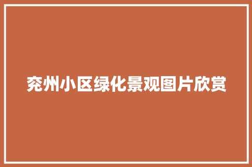 兖州小区绿化景观图片欣赏