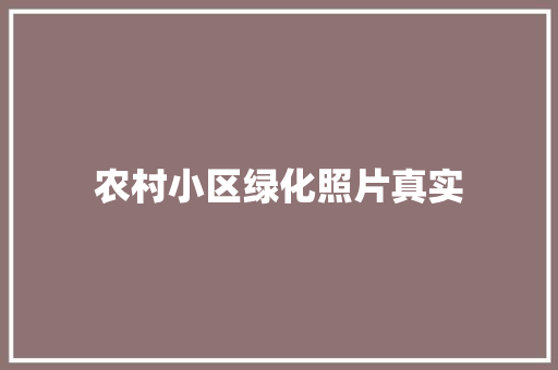 农村小区绿化照片真实