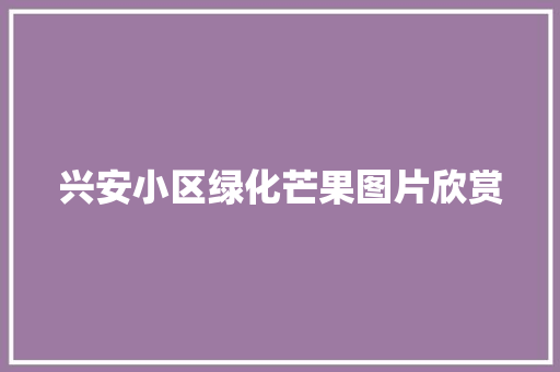 兴安小区绿化芒果图片欣赏