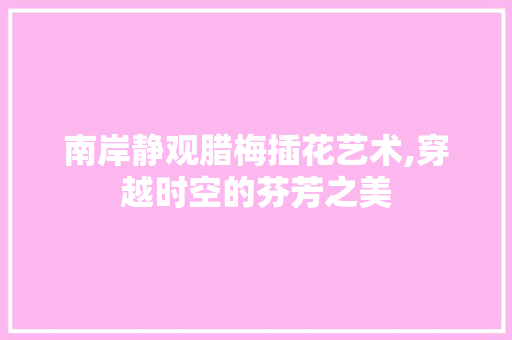 南岸静观腊梅插花艺术,穿越时空的芬芳之美