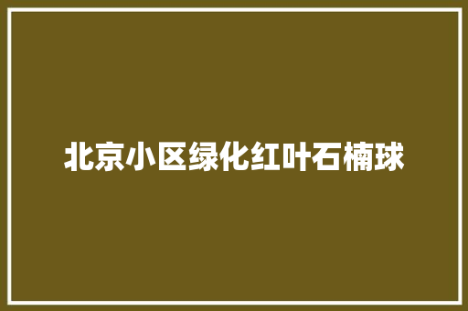 北京小区绿化红叶石楠球