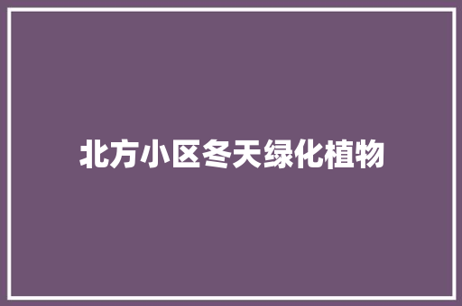 北方小区冬天绿化植物