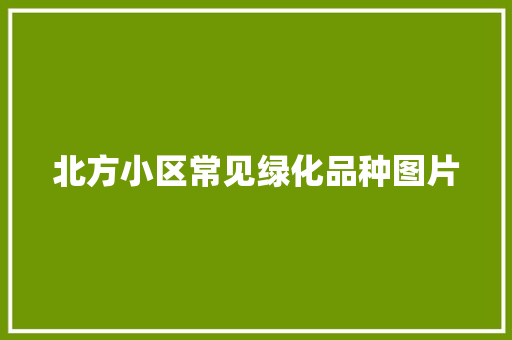 北方小区常见绿化品种图片