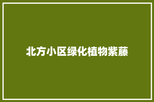 北方小区绿化植物紫藤