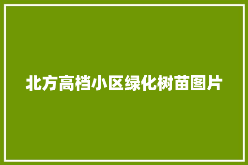 北方高档小区绿化树苗图片