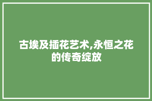 古埃及插花艺术,永恒之花的传奇绽放