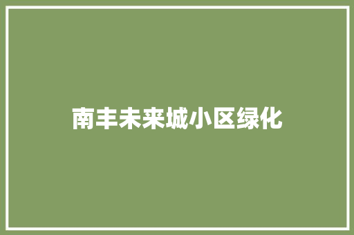 南丰未来城小区绿化