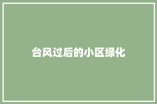 台风过后的小区绿化