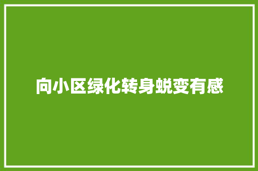 向小区绿化转身蜕变有感