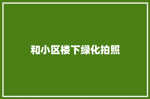 和小区楼下绿化拍照