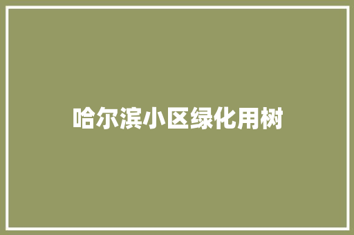哈尔滨小区绿化用树