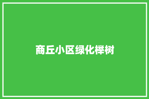 商丘小区绿化榉树