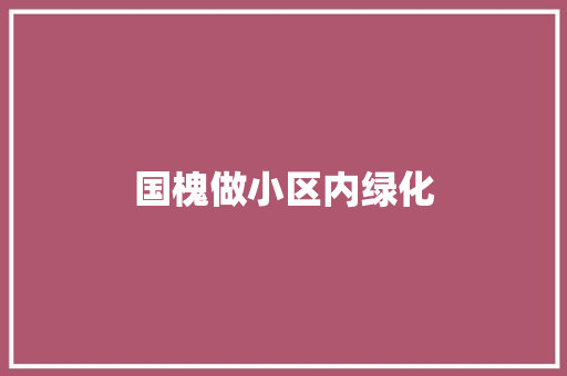 国槐做小区内绿化