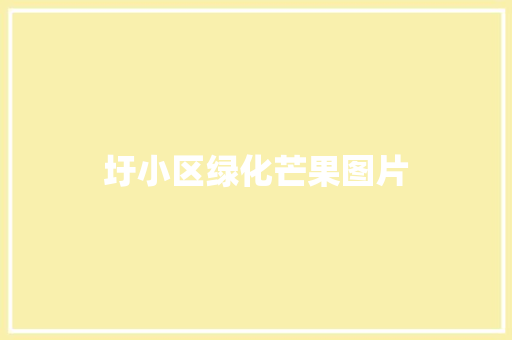 圩小区绿化芒果图片