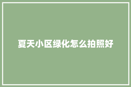 夏天小区绿化怎么拍照好