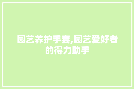 园艺养护手套,园艺爱好者的得力助手