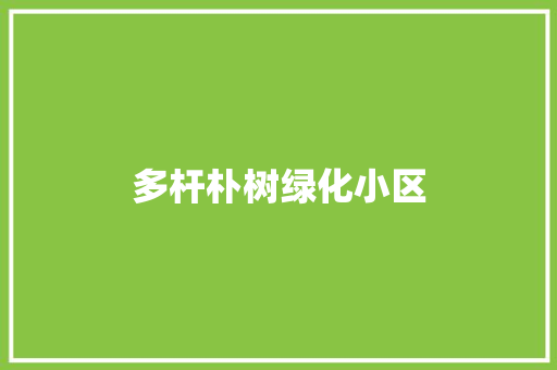 多杆朴树绿化小区