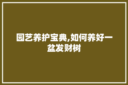 园艺养护宝典,如何养好一盆发财树