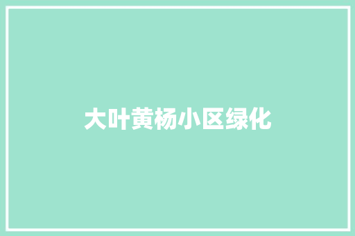 大叶黄杨小区绿化