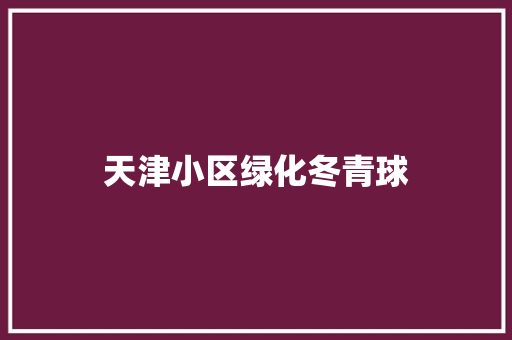 天津小区绿化冬青球
