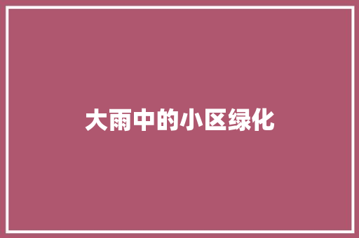 大雨中的小区绿化