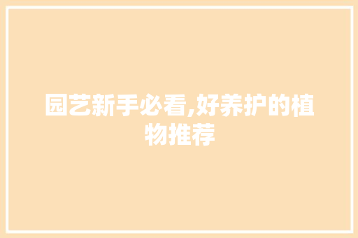 园艺新手必看,好养护的植物推荐