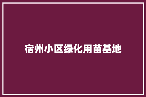 宿州小区绿化用苗基地